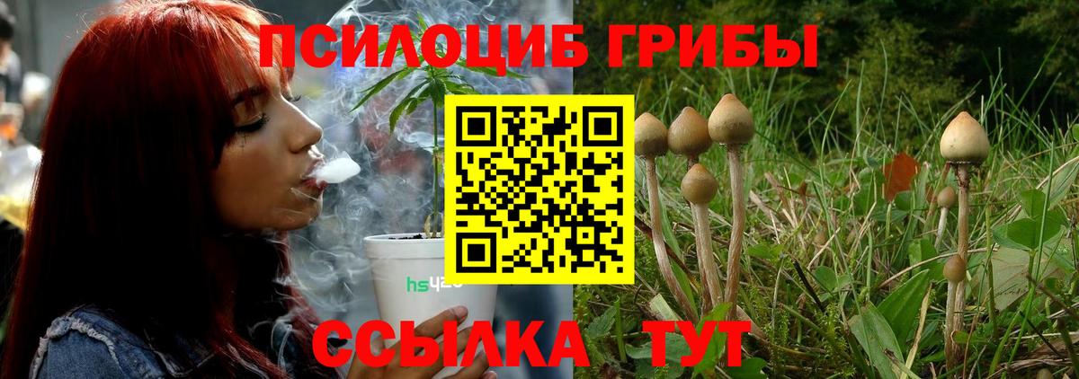 Конаково  Псилоцибиновые грибы Psilocybine cubensis  Вход с VPN 