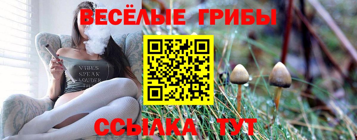 Псилоцибиновые грибы ЛСД Конаково